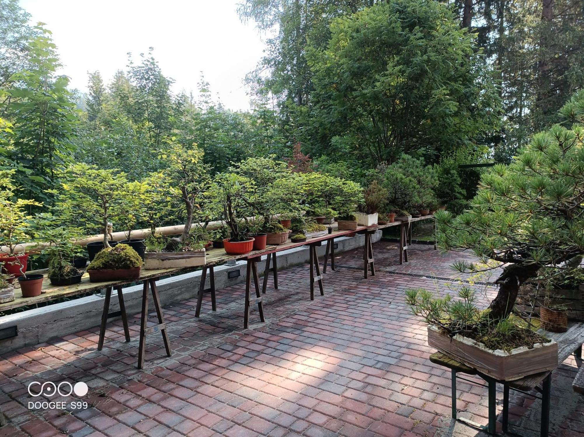 Park Hotel Arnica 팔카데 외부 사진